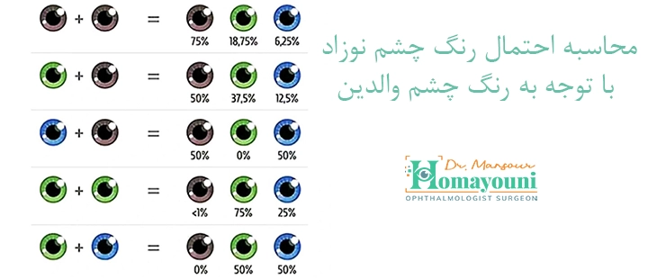 محاسبه احتمال رنگ چشم نوزاد با توجه به رنگ چشم والدین