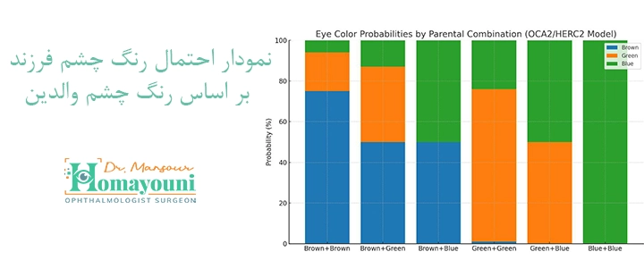 نمودار احتمال رنگ چشم فرزند بر اساس رنگ چشم والدین