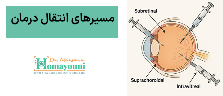 مسیرهای انتقال درمان